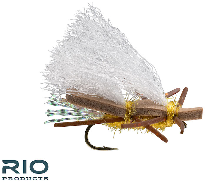 Chubby Chernobyl Hopper Fly ReelFlyRod